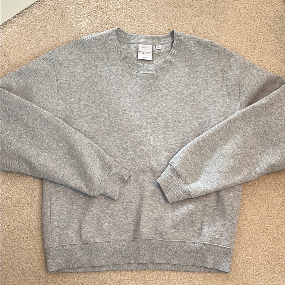 Aritzia Cozy Sweatfleece Perfect Crewneck